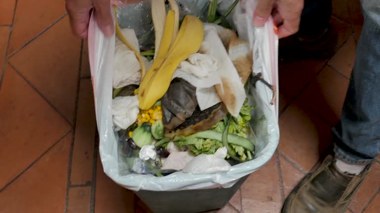 Best Property Management Cleanouts  in Cold Spring, MN