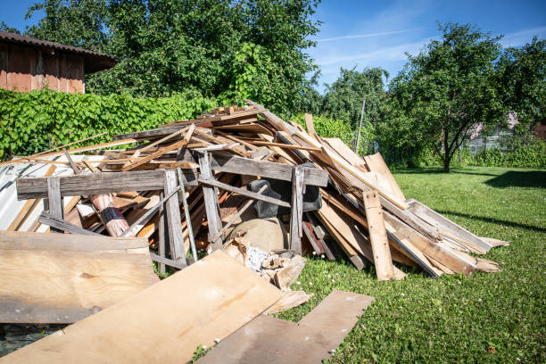 Best Shed Removal  in Cold Spring, MN
